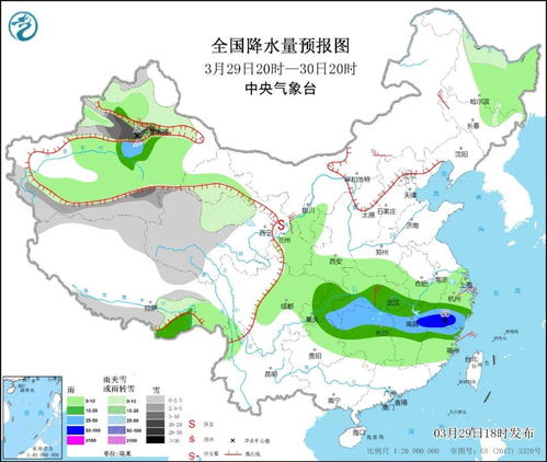 种属哪个范围大