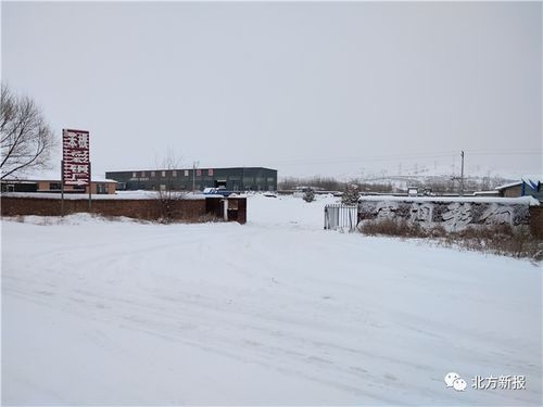 内蒙古暴雪学校停课(学校停课机场关闭目前当地是什么情况)