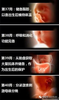 胎儿发育成熟的指标有哪些