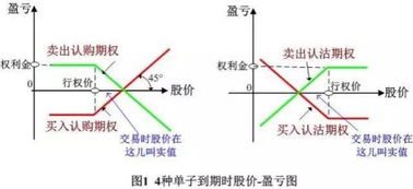 期权购买者和期权出售者的权利和义务方面有何不同，为什么