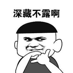 有人说我潜伏是什么意思