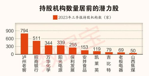 2024十大潜力股