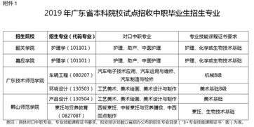 广东高职高考可以考哪些本科