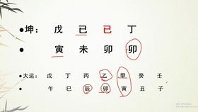 特殊人才落户 火箭锦鲤女孩八字命理赏析