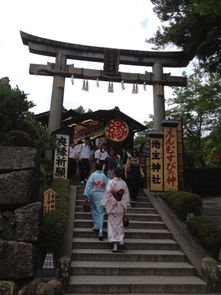 花哥勇闯小日本7天自由行