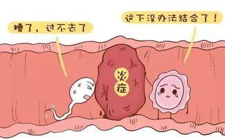 原创输卵管“堵塞”怎么办？试试2个办法，有利于你“怀孕”的成功！