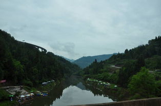 今天,平昌县好热闹,副市长都去了,发生了啥 