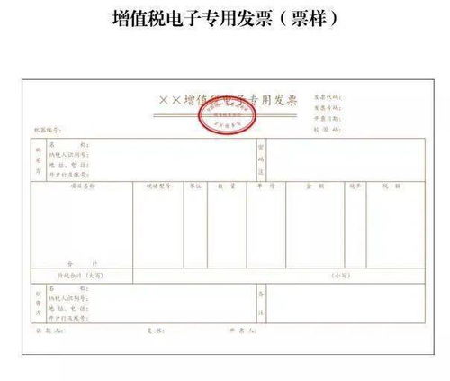 我上个月在平潭开了电子外管证，增值税发票在公司开完到当地预缴完了