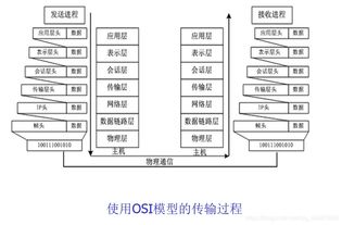 网络体系结构