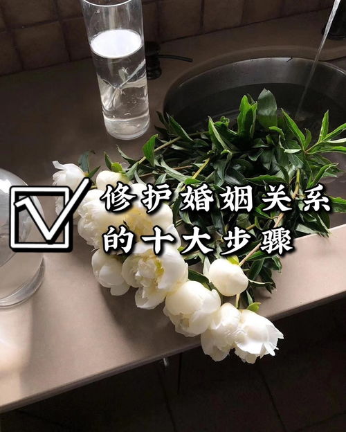 自己不想离婚咋样修复(不想离婚但是也不想过了怎么办)