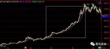 贵州茅台股票2008年最低股价是多少