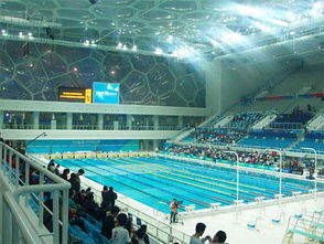 水立方游泳,北京水立方游泳馆门票及开放时间