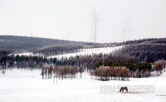 沁园春雪上阙作文