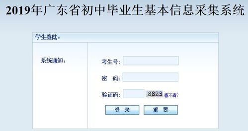 2019中考分数查询 2019年中考成绩如何查询