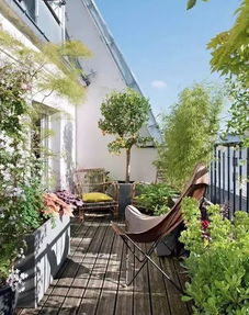 创意阳台小花园,为平淡生活添一抹绿