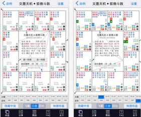 紫薇人盘排盘 紫薇排盘流年盘 这个紫薇命盘排盘应该怎么看