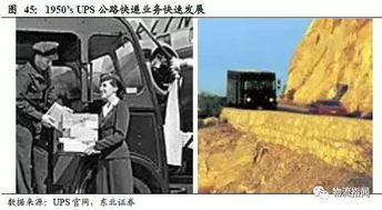 杨之后——揭秘中国科技巨头的崛起之路