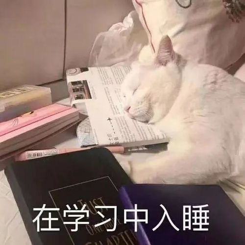 一看就是在好好学习的头像