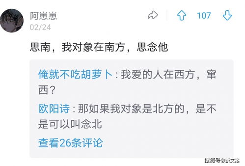 网名什么意思,网名的起源 网名什么意思,网名的起源 应用