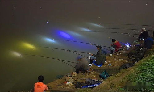 夜钓用灯还是夜光漂 夜钓常见问题应对建议