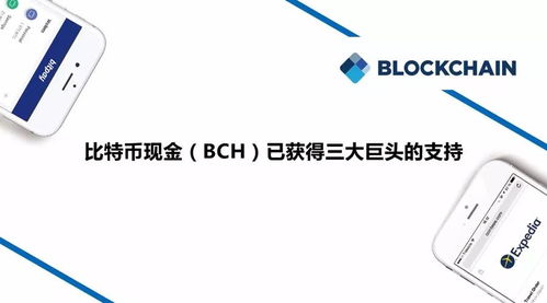 BCH比特币现金空投