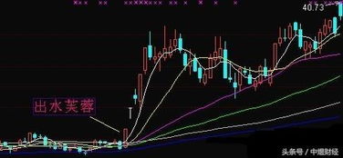 股价连日跌中段均线仍向上升求指点