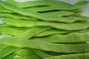 扁豆的做法,扁豆是一种营养丰富的蔬菜，
