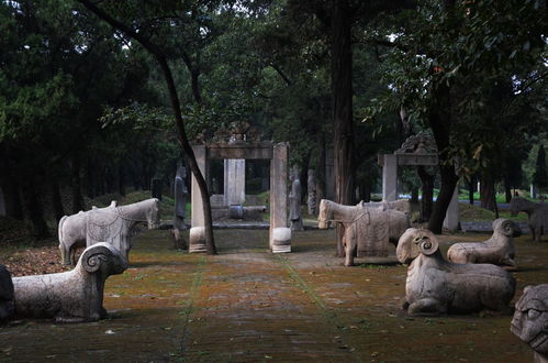 世界最大的家族墓地,坟冢超十万座,两千年来动物不栖