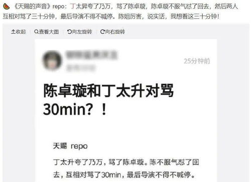 网曝 天赐2 名场面,陈卓璇和丁太升对骂半小时,导演强行喊停