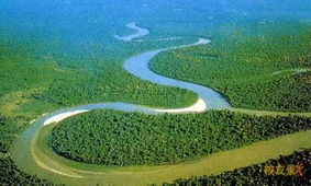 世界上最大的河流是哪一条河,亚马逊河：世界上最大的河流，令人惊叹
