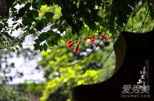 梅雨季节是什么意思 梅雨季节是天天下雨吗