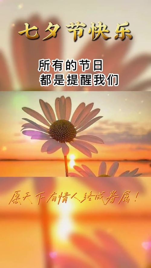 七夕表白文案