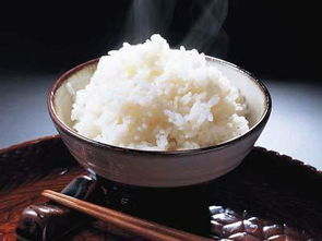 300克碳水化合物是多少克熟米饭 
