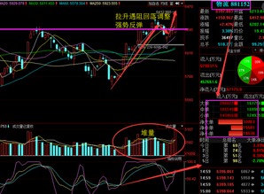 600110这只股票近两个月会有什么行情呀？能上涨到25%吗？