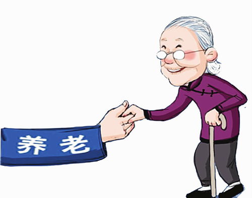 兴庆区兜底购买居家养老服务 800多名老人乐享定制化服务