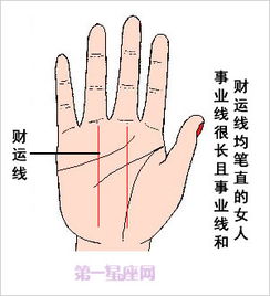 全面解析 手相事业线图解大全 一 