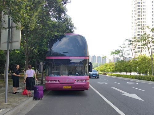 遂宁停车场免费,遂宁市汽车客运站开车进去收不收费