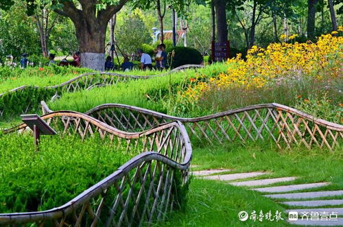 好景山东捕捉夏日美好 济南花圃公园郁郁葱葱,诗情画意醉人心