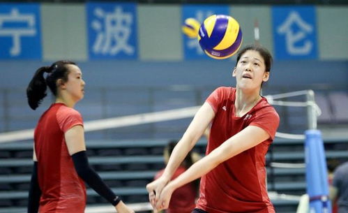 中国女排小世界杯赛程确定 朱婷缺阵 李盈莹领衔出击