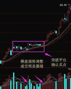 我能不能这样理解：其实股票不怕跌，只要公司不破产，总有一天它会涨的？物极必反嘛，不可能永远的跌下去