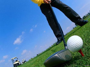 球技 建立稳定的高尔夫站位 为扎实挥杆打基础 