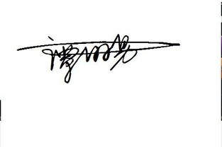 谁能帮我设计两个个人艺术签名看着漂亮连贯点的,名字陈子阳,谭丽男 