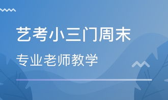 郑州舞蹈艺考培训机构排名榜,郑州艺考培训机构排行榜前十