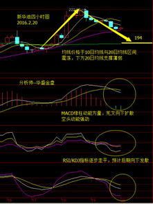 5日均线 10日均线等均线对看盘有什么样的意义？