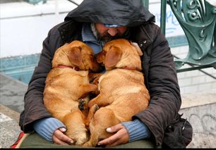 10张乞丐与狗的温馨照片,看完心都暖化了