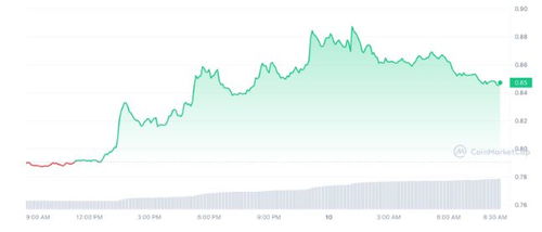 BTC 生态 FOMO 情绪点满，相关衍生协议究竟有什么不同？