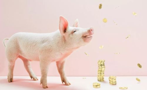 养猪利润跌至近两年最低 养一头猪只赚437元 养殖户 输不起了