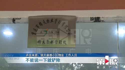 小区楼顶变身 开心农场 楼下住户家中蚊虫密密麻麻