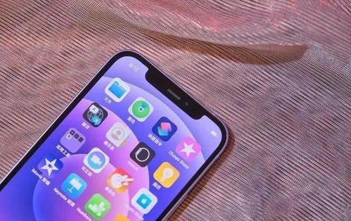 紫色iPhone 12真机上手体验 春天里的丁香花