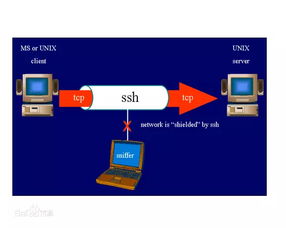 ssh 下载